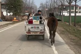 爸爸是想着给他喂马，但是他过两天要去永成，给哥嫂帮忙去，又没有时间了……#农村生活 #我的乡村生活 #记录日常 #骑马视频封面