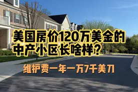 美国房价120万美刀的中产小区长啥样？维护费一年1万7千美刀