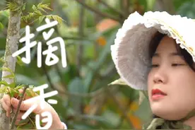 农场的香椿又发芽了，先试个菜，再送上#香里小饭桌视频封面