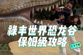 禄丰世界恐龙谷保姆级攻略来啦，时间有限，能说的我尽量都说咯#龙气腾腾过春 #龙年Walk恐龙谷 #寒假恐龙谷探险 #冬季恐龙乐园 #和恐龙一起过大年