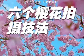 详细拍花教程 分享六个超级出片的樱花拍摄技巧，简单易学#手机摄影 #拍花技巧 #拍摄花朵教程 #樱花 #拍花视频封面