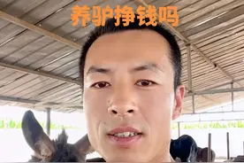 养驴挣钱吗？#毛驴 #农村创业养殖