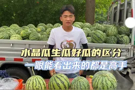 生瓜水晶瓜空心瓜厚皮瓜 你们都是摆了几年才能辨别瓜好坏