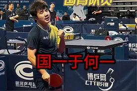 从没忘记自己曾是国乒一员 心理，生理，精神，环境，抗压这些都不足以打败我，拼到最后一刻，永不放弃#国乒 #乒乓球 #乒超联赛视频封面