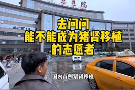 肾移植检查终于做完了！再跟病友去了解一下猪肾异种移植的情况！视频封面