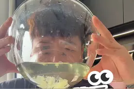 一天瘦7斤的《阴阳白菜汤》真猛！我现在看见白菜就...#我的减肥日记 #阴阳白菜汤实测 #变美变瘦变好看 #减肥vlog视频封面