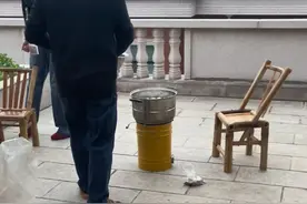 #喜蛋#毛珠子 这种蛋到底叫什么名字？？视频封面