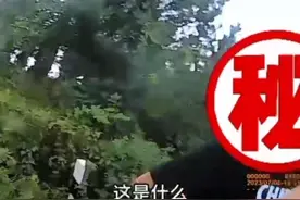 “憋坏了”高速应急车道停车解内急，交警一查不止要扣9分视频封面