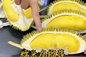 系有滴品种葛榴莲，核大到屎忽隆生仓-没眼睇！但真系好吃！#水果视频封面