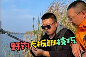 冬钓垂钓大板鲫的详细技巧全在这里#钓鱼技巧 #钓鱼人 #2023dou来钓鱼 #原来钓鱼才是抖音运动顶流 #大板鲫视频封面