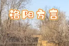 孟津区 城关镇 寺河南村 #乡村 #乡愁 #洛阳方言 #古村落 #中国传统村落视频封面