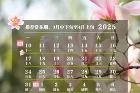 #北京赏花日历 玉兰经常在一片绿意盎然中开出大轮的白色花朵。因其植株高大，开花位置较高，迎风摇曳，神采奕奕，宛若天女散花。（来源：首都之窗）视频封面