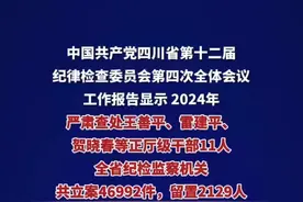四川省纪委监委：2024年立案46992件，留置2129人视频封面