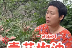 自制青花椒油，又麻又香，调凉菜拌馅时候放点都好吃#我的乡村生活 #一日三餐人间烟火 #青花椒 #花椒油制作 #大自然的馈赠视频封面