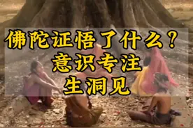 佛陀证悟了什么？意识专注生洞见#智慧人生 #觉醒开悟视频封面