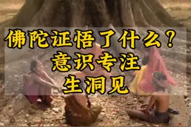 佛陀证悟了什么？意识专注生洞见#智慧人生 #觉醒开悟视频封面