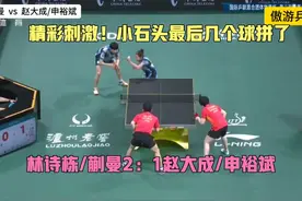 超精彩刺激！混团世界杯，林诗栋/蒯曼2：1赵大成/申裕斌！视频封面