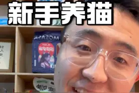 新手养猫，十招建立亲密关系#新手养猫 #养猫人 #养猫新手视频封面