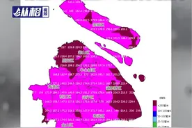 #台风康妮 对上海最新影响：高速、高架限速60公里，多所高校部分课程转为网课，市气象局：1日2时至20时强降水最集中 #暴雨 #上海  （东方网·纵相视频 孔文龙）视频封面
