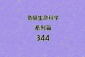 从量子到大脑解码人类终极意识为何我们能征服世界而动物只能适应