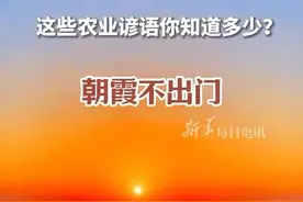古人智慧教你如何看天气！今天是世界气象日，这些农业谚语你知道多少？ #世界气象日视频封面