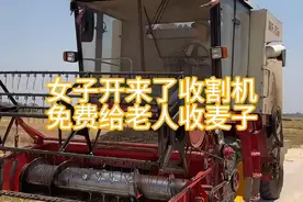 近日，河南一女子免费为五保户老人收割小麦，感动了无数网友！#麦子熟了 #传递善良传递爱 #感人瞬间视频封面