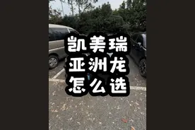 都知道凯美瑞比亚洲龙便宜 你们自己觉得哪个更好看#九代凯美瑞 #丰田 #亚洲龙 #今日宜混动出圈看丰田 #第九代凯美瑞