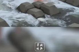 直击台风来临前的汕头东海岸，海上浮球被大浪掀上岸，警惕台风风暴潮叠加天文大潮#台风苏拉 #广东dou知道视频封面
