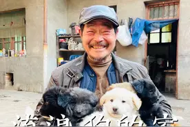 这是我第一次碰到真正的狗狗救助站，以前我也不知道为什么会有这么多救助站，因为流浪狗会被冻S、饿S、被车撞S、被狗贩子抓走卖掉吃肉#不爱请别伤害 #流浪狗救助 #善待动物视频封面
