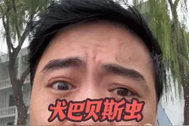 犬巴贝斯虫怎么防治 有点耐心，我们一起来理解。#犬巴贝斯虫病 #蜱虫视频封面