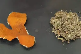 陈皮搭配干艾叶是天生一对，试了3天很管用，就服老祖宗的智慧视频封面