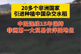 20多个非洲国家引进种植中国杂交水稻，中国连续15年保持非洲第一大贸易伙伴国地位 #中非合作论坛 #非洲视频封面