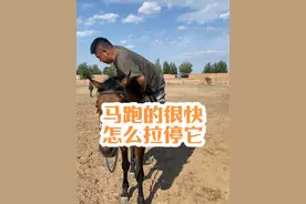 马跑的很快，怎么拉停它#骑马 #推广马术运动 #骑马看世界 #马术教学 #科尔沁骑马场视频封面