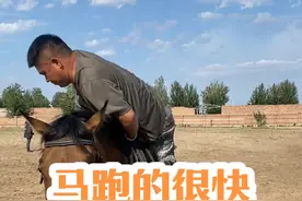 马跑的很快，怎么拉停它#骑马 #推广马术运动 #骑马看世界 #马术教学 #科尔沁骑马场视频封面