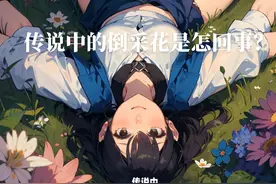 传说中的倒采花阴贼是怎么回事？历史上最有名的有哪几位？视频封面