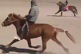 第一次见顺拐的马🐎视频封面