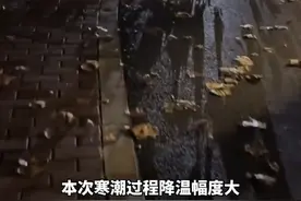 大风！降温！霜冻！济南发布寒潮蓝色预警，降温幅度 10～12℃视频封面