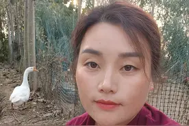 带大家看看鹅妈妈下蛋全过程，秋天里的第一枚老鹅蛋，#大白鹅生蛋 #意不意外 #万物有灵视频封面