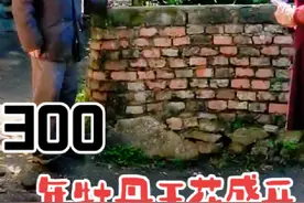饱经风霜的300年牡丹王正开…位于新县箭场河石岗村有一株300年牡丹王，近日花盛开，快去欣赏…#牡丹花开满园香 #抖音带你去赏花视频封面