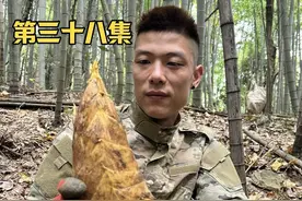 今年你们挖最大的笋有多大？ #大自然的馈赠 #大自然的搬运工 #挖笋的乐趣只有体验过才懂 #真实户外 #我的乡村生活视频封面