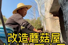 #创作灵感 老公把院子里的水塔屋改造成了超级炫酷的枯山水石头屋，还帮邻居大爷家门口的泥巴路硬化了，下雨天进进出出就方便多了#小院改造 #老房改造 #乡村振兴 #好喜欢我的家视频封面