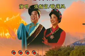 歌唱家张振富耿莲凤老师演唱的一首《逛新城》百听不厌视频封面