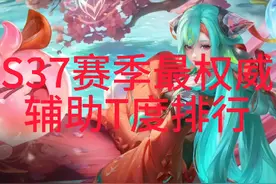 S37赛季最权威辅助T度排行#辅助 #王者