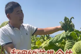 各种香烟的前世今生视频封面