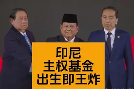 印尼主权基金，出生即是"王炸" #主权基金 #东南亚 #印尼 #雅加达视频封面
