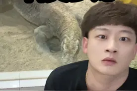 挑战养科莫多龙！#来长隆行运一条龙视频封面