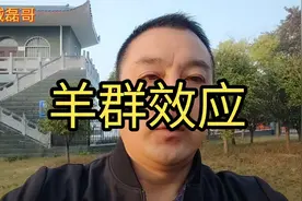 保持特立独行，摆脱羊群效应！ #羊群效应 #观点分享视频封面