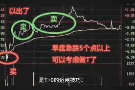 T十0的运用技巧#如何进行短线交易 #关注我每天坚持分享知识视频封面