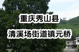 重庆秀山县-清溪镇镇元桥 #小桥流水 #古桥 #古装 #打卡拍照 #古建筑视频封面