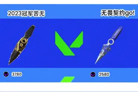 苦无—2023冠军、无畏契约go!#无畏契约 #瓦罗兰特#刀 #皮肤视频封面